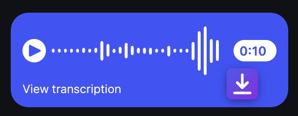Instagram voice message with the Voice Message Downloader button